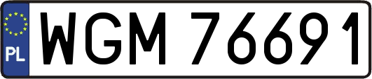 WGM76691