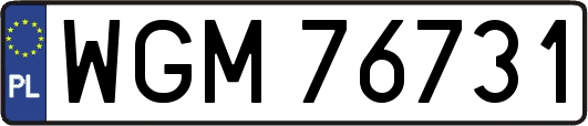 WGM76731