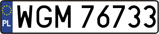 WGM76733