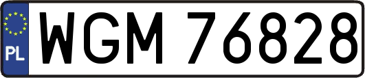 WGM76828