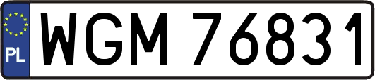 WGM76831