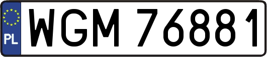 WGM76881