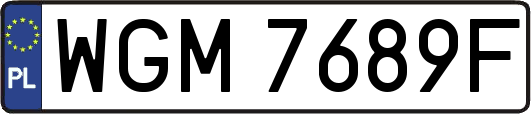 WGM7689F