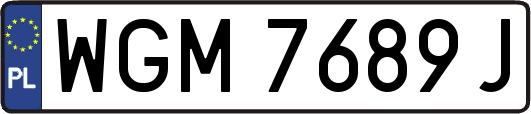 WGM7689J