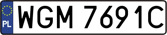 WGM7691C