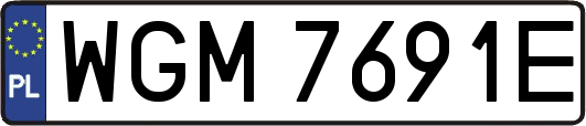 WGM7691E