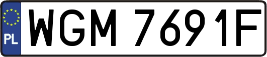 WGM7691F