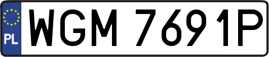 WGM7691P