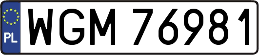 WGM76981