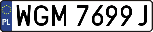WGM7699J