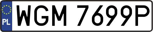 WGM7699P