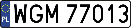 WGM77013