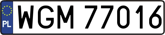 WGM77016
