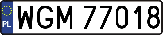 WGM77018
