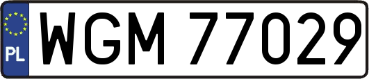 WGM77029