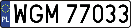 WGM77033
