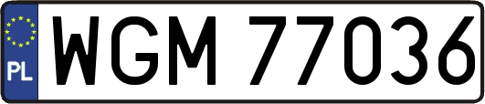 WGM77036