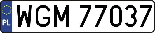 WGM77037