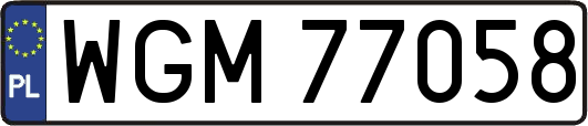 WGM77058