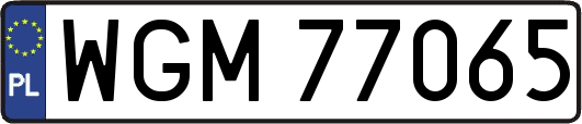 WGM77065