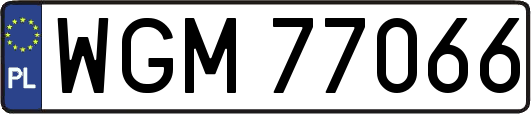WGM77066