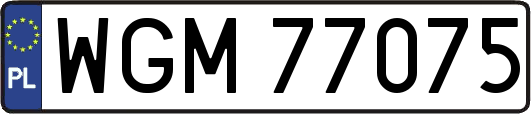 WGM77075