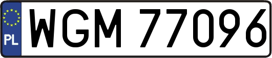 WGM77096