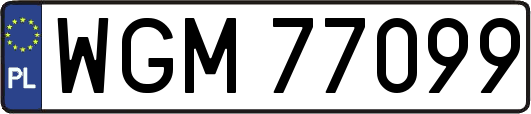 WGM77099