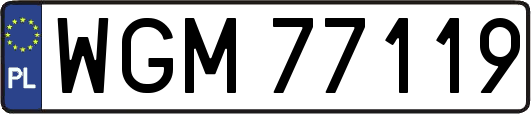 WGM77119