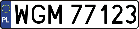 WGM77123