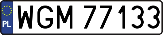 WGM77133