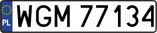 WGM77134