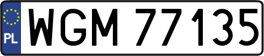 WGM77135