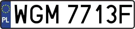 WGM7713F
