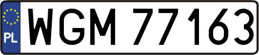 WGM77163