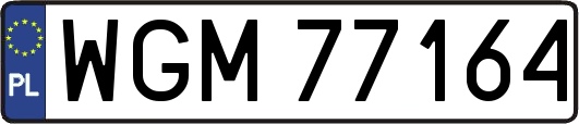 WGM77164