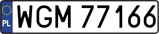 WGM77166