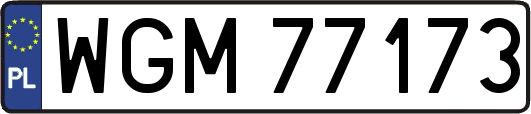 WGM77173