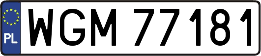 WGM77181