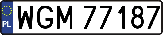 WGM77187