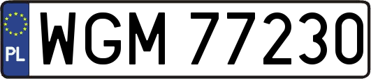 WGM77230