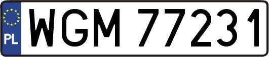 WGM77231