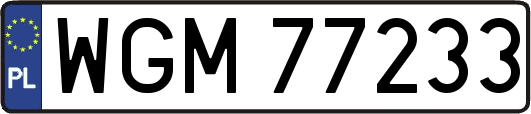 WGM77233
