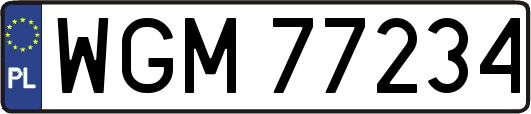 WGM77234