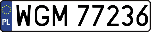 WGM77236
