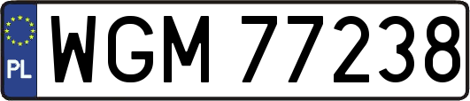 WGM77238