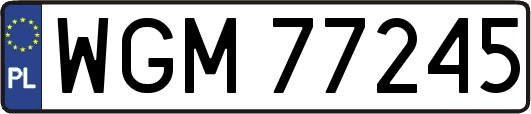 WGM77245