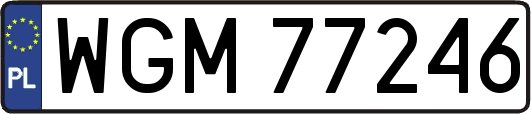 WGM77246