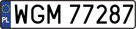 WGM77287