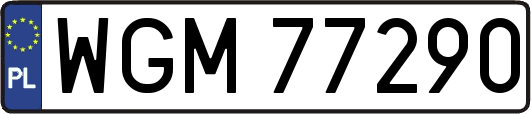 WGM77290